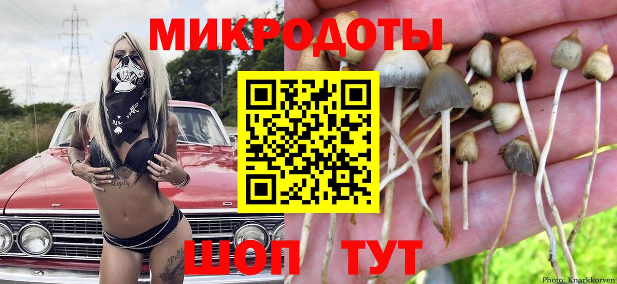 Псилоцибиновые грибы прущие грибы  Вход с VPN  Кингисепп 